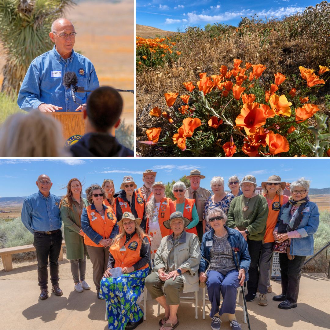 Clockwise from top left: California State Parks Director Armando Quintero speaks at the Antelope Valley California Poppy Reserve’s 50th anniversary celebration. California poppies at the reserve this year. Attending Poppy Reserve Mojave Desert Interpretive Association board members and Poppy Reserve volunteers pose with California State Parks leaders.